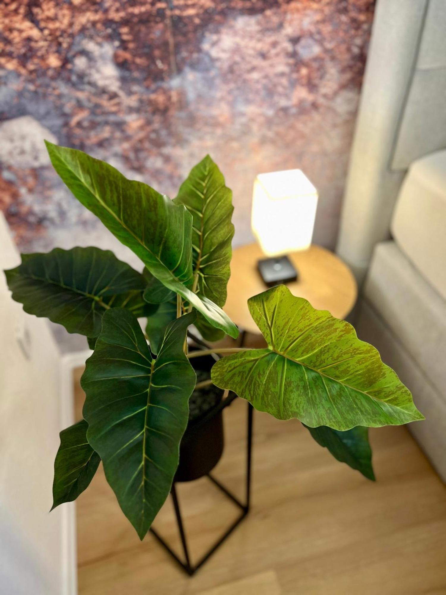 Main Cozy Casa Am Ringpark Free Parking Apartment Wurzburg Luaran gambar